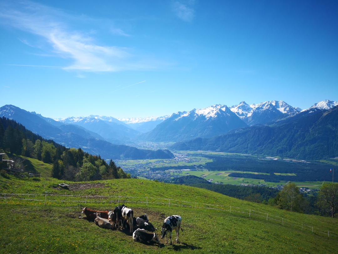 Henslerstüble_Ausblick